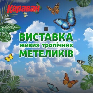 Живые экзотические бабочки возвращаются в ТРЦ «Караван» - kiev.karavan.com.ua