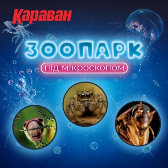 «Зоопарк под микроскопом»: открываем удивительный мир в деталях - kiev.karavan.com.ua