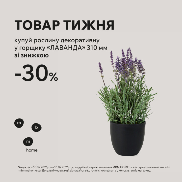 Товар тижня! Декоративна «Лаванда» у горщику зі знижкою 30% - dnipro.karavan.com.ua